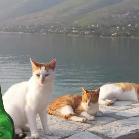 Where The Mountains Meet The Sea Dom wakacyjny